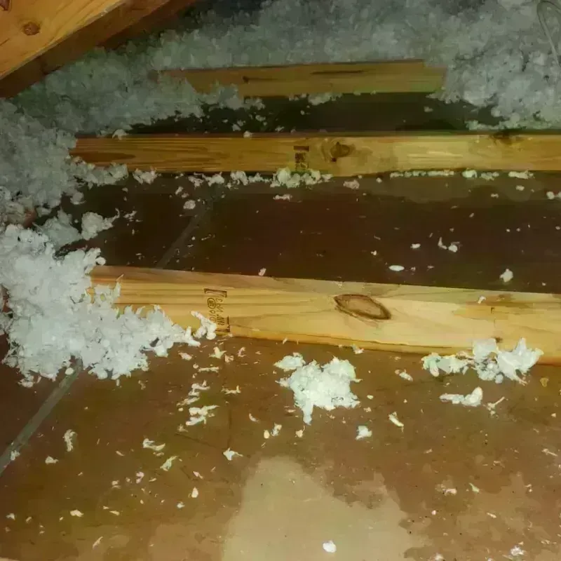 Attic Water Damage in Hindman, KY